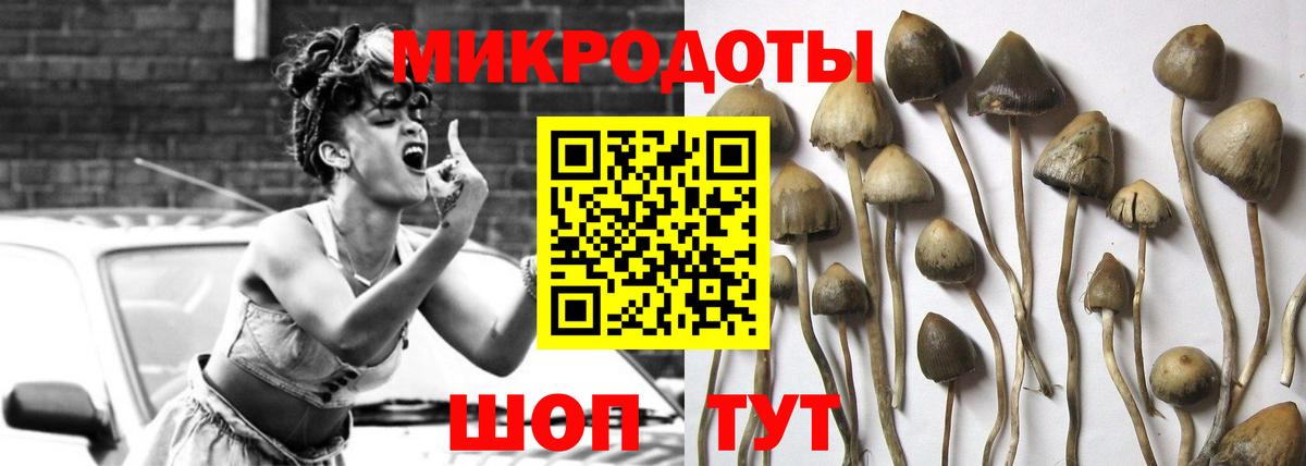 сколько стоит  Вход с VPN  Новошахтинск  Галлюциногенные грибы прущие грибы 